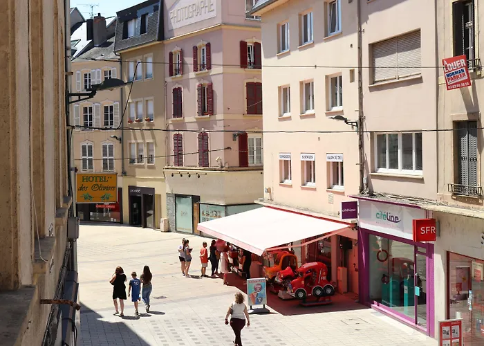 Logis-hôtel Des Oliviers Hotel Thionville